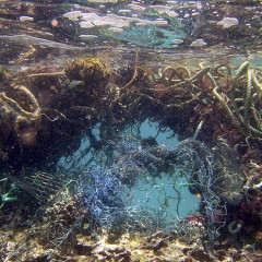 The Origin Of Ocean Garbage Patches