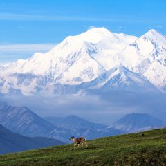 Cold Cuts: Glaciers Sculpt Steep Peaks